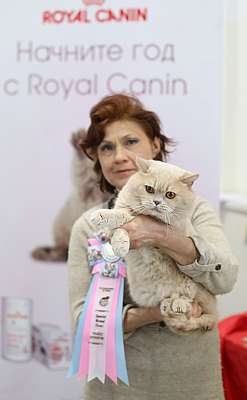 �������� ����� 11-12 ������ 2015, ������������ ���  bri-100-169A4922 copy.jpg